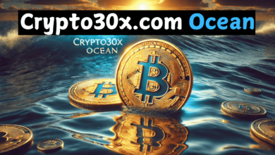 crypto30x.com ocean