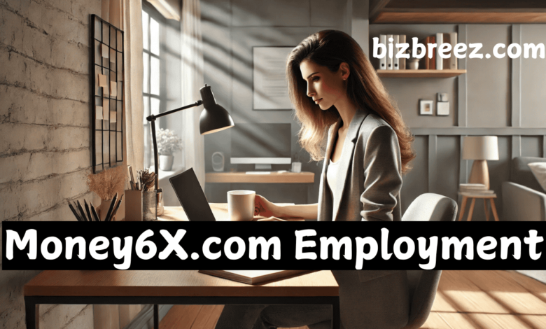 money6x.com employment